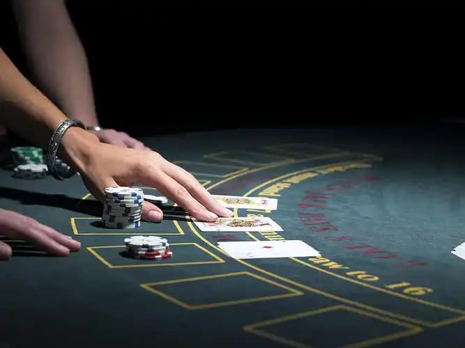 maxbet